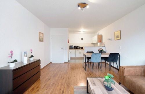 Bad Saeckingen Apartamento | Apartamento "Agricola" con jardín compartido y Wi-Fi
