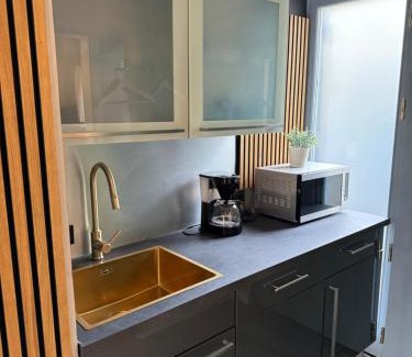 Bruhlervorstadt Apartamento | -Apartment am Luisenpark-perfekte Lage im Grünen für Ihren Aufenthalt