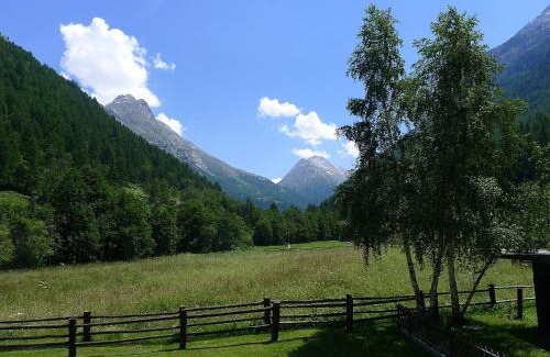Saas Grund Apartamento | Apartment Amici-2 by Interhome