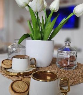 Elshani Apartamento | APARTMENT ANA v-Peshtani