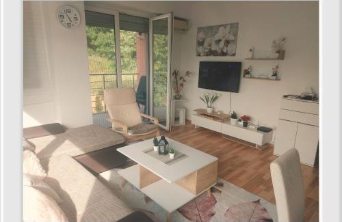 Elshani Apartamento | APARTMENT ANA v-Peshtani