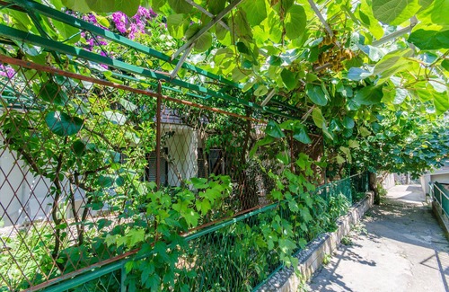 Bili brig Apartamento | Apartamento y habitaciones Ivan (45191-A7) - Makarska