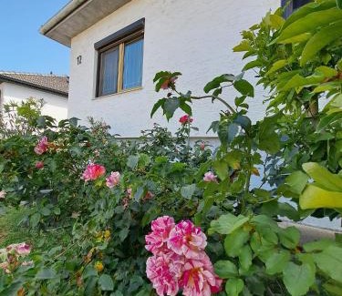 Marchegg Casa | Apartment Anna - Austrian country house in Marchfeld im Weinviertel