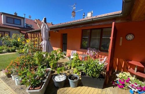 Sakvice Apartamento | Apartment Anna