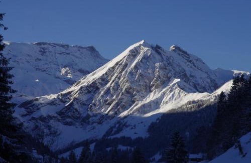 Adelboden Apartamento | Apartment Anno Domini by Interhome