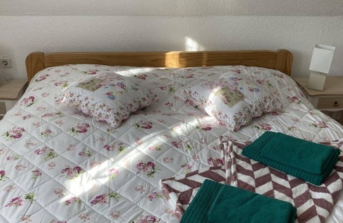Altenberg Cama Y Desayuno | Apartment/apartment, shower and bath, WC, mountain side - Pension ZUR 23