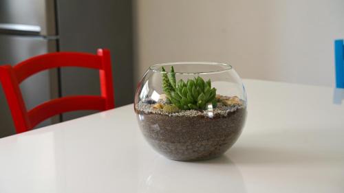 Verunic Apartamento | Apartment Aria
