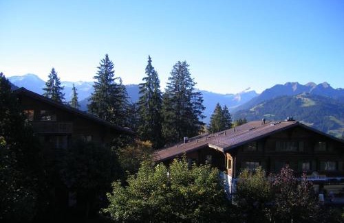 Schoenried Apartamento | Apartment Arlette Nr- 30 by Interhome