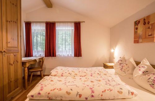 Caminata di Tures Apartamento | Apartment Arnika - Mesnerhof