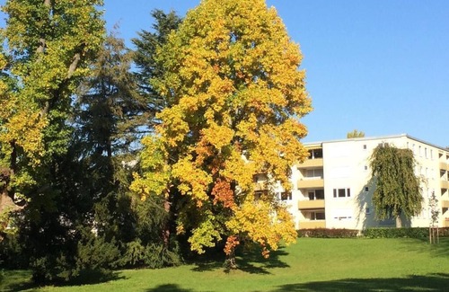 Aschach Apartamento | Apartment at Lotzbeckpark