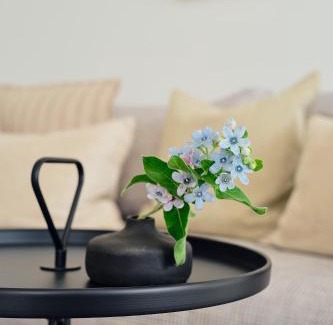 Zirchow Apartamento | Apartment B11 "Pine Hill Resort" Ihr Rückzugsort mit großzügigem Balkon und Naturblick