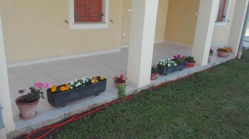 Liznjan Apartamento | Apartment Barba