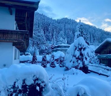 Oberau Wildschonau Apartamento | Apartment Baumann