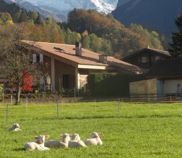 Wilderswil Apartamento | Apartment Beck