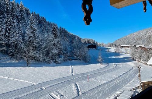 Sonnenberg Apartamento | Apartment Bergglück Wildschönau