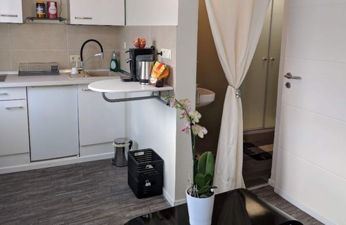 Feyen-Weismark Apartamento | Apartamento Bina a 5 minutos del Mosela