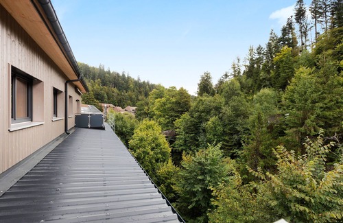 St. Blasien Apartamento | Apartamento 'Birke' con balcón y Wi-Fi