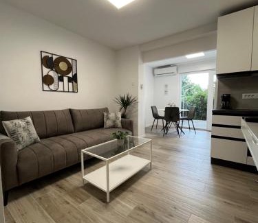 Sarsoni Apartamento | Apartment Bivio