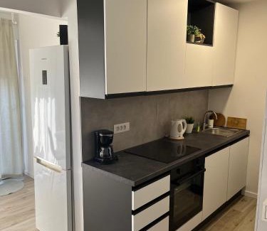 Sarsoni Apartamento | Apartment Bivio