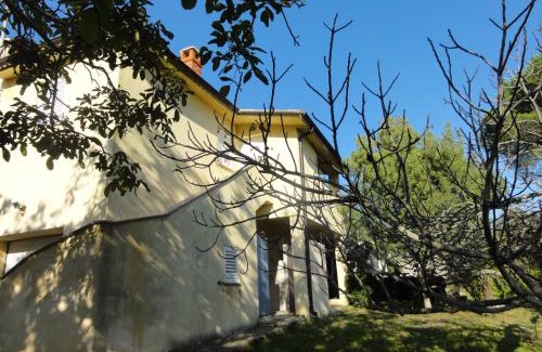 Banjole Apartamento | Apartment Bolko - near the beach