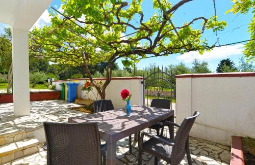 Stinjan Apartamento | Apartment Branko 2081