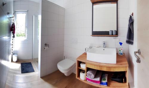 Obertraun Apartamento | Apartment Brigitte