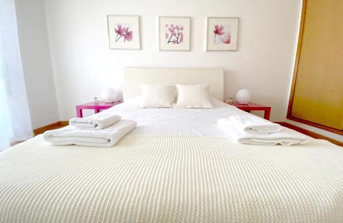 Castelo Branco Apartamento | Apartment Castelo Branco - Portugal