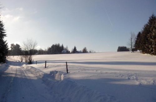 Lazne Kynzvart Apartamento | Apartment-Chalet-Chaloupka U Trnků