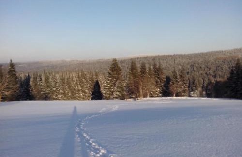 Lazne Kynzvart Apartamento | Apartment-Chalet-Chaloupka U Trnků