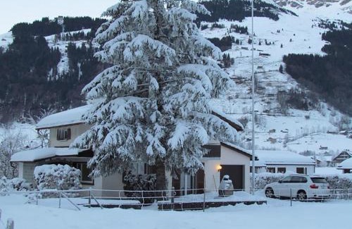 Engelberg Apartamento | Apartment Chalet Eien by Interhome