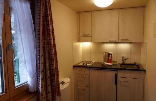 Grindelwald Apartamento | Apartment Chalet Schwendihus-6 by Interhome