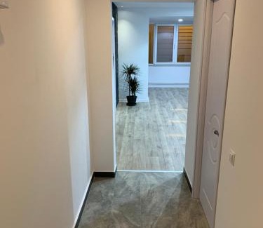 Pitesti Apartamento | Apartment City Center