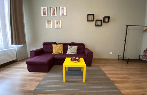 Old City Apartamento | Apartment City Centre Timisoara