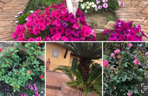 Pisa Apartamento | Apartment "Con Piscina Fiore" with Private Pool & Wi-Fi