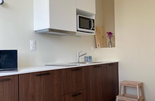 Clermont Ferrand City Centre Apartamento | Apartment Cosy Clermont Centre, Pet friendly !