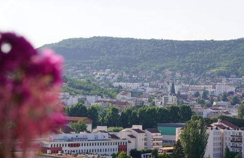 Clermont Ferrand City Centre Apartamento | Apartment Cosy Clermont Centre, Pet friendly !