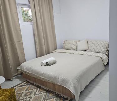 Arad Apartamento | Apartment cu bun gust, parcare publica fără plata, Self Non Stop check in, zona linistita