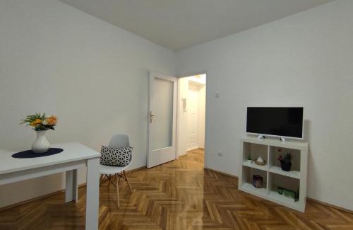 Sarajevska Apartamento | Apartment Danica