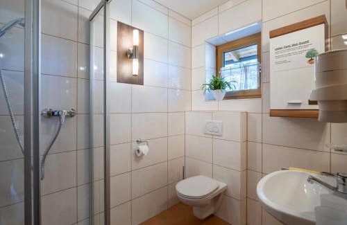Niederau Apartamento | Apartment Daniela-1 by Interhome