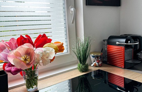 Duisburg Sud Apartamento | Apartamento 'Deluxe Appartement Mit Terrasse' con terraza compartida y Wi-Fi