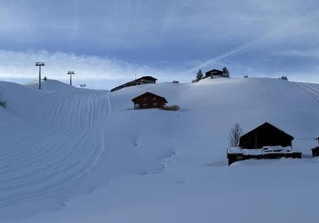 Damuels Apartamento | Apartment direkt an der Piste