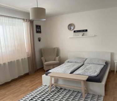 Dubnica nad Vahom Apartamento | Apartment Dubnica-Prejta 2