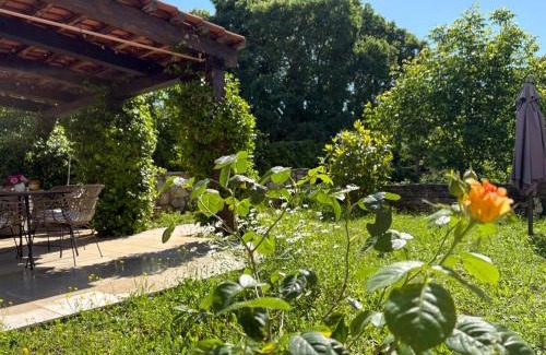 Bale Apartamento | Apartment Dulcis Domus