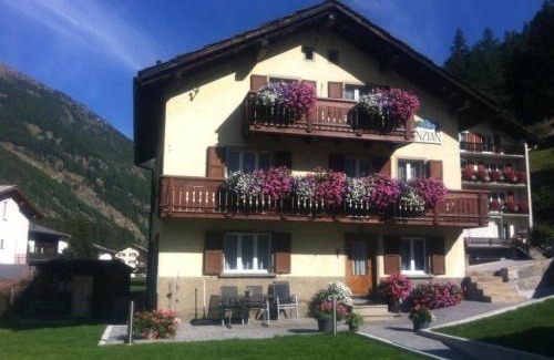 Saas Grund Apartamento | Apartment Enzian by Interhome