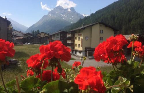 Saas Grund Apartamento | Apartment Enzian by Interhome