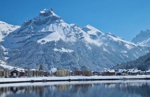 Engelberg Apartamento | Apartment Erlenrain Wohnung 911 by Interhome
