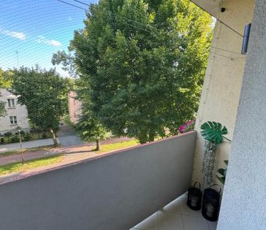 Inowroclaw Apartamento | Apartment Ewy