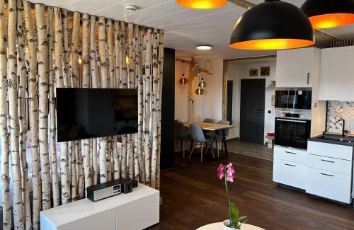 Schonach im Schwarzwald Apartamento | Apartment Fabelwald Black Forest