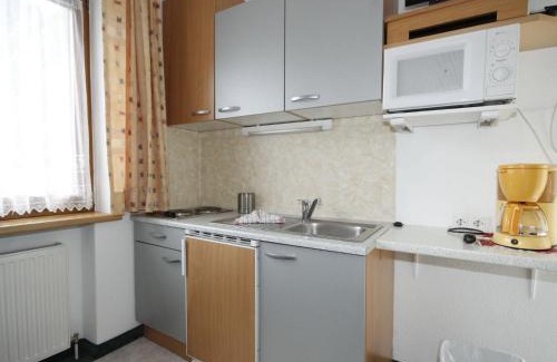 Laengenfeld Apartamento | Apartment Falkner-1 by Interhome