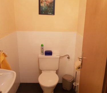 Bad Aussee Apartamento | Apartment Familie Haupt